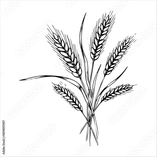 Detailed hand-drawn artwork features several stalks of wheat