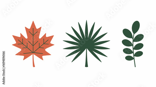 Three botanical leaf illustrations showcase a maple leaf a palm leaf and a leafy branch perfect for naturethemed designs and educational materials for botany studies