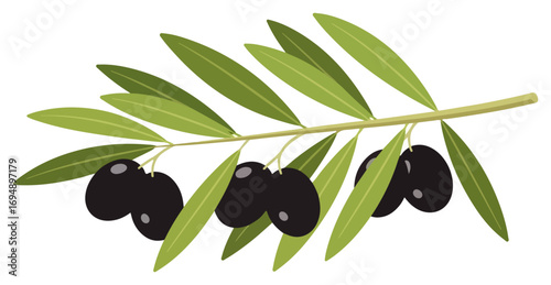 Black Olives on a Branch with Green Leaves.