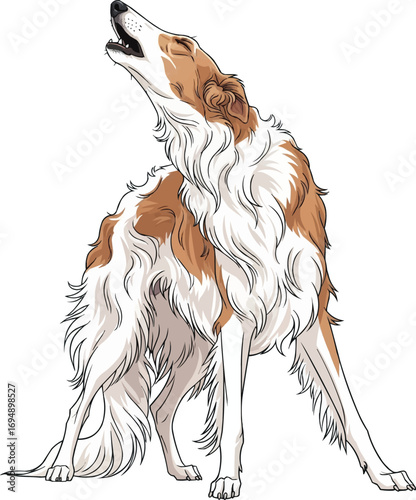 Russian Wolfhound Borzoi dog howling pose vector illustration
