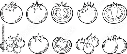 Hand-drawn collection of tomatoes in various forms and stages of ripeness