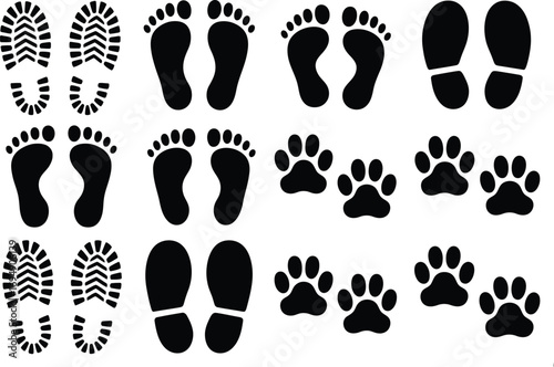 Footprints and paw prints marking a path, symbolizing journeys and companionship.
