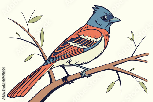 vector illustration of a bird