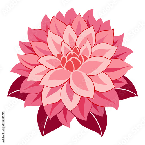Dalia pink flower. Wonderful hand drawn flower for print.