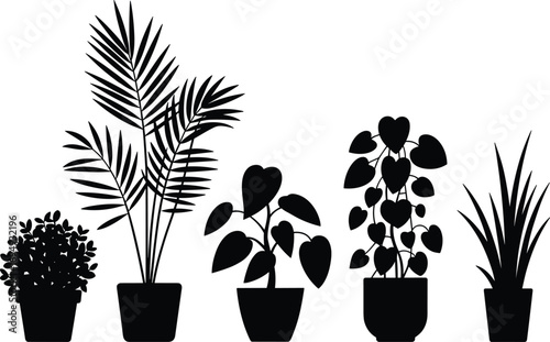 Silhouette of indoor houseplants in pots, black and white botanical design, minimalist foliage, modern home decor plant illustration