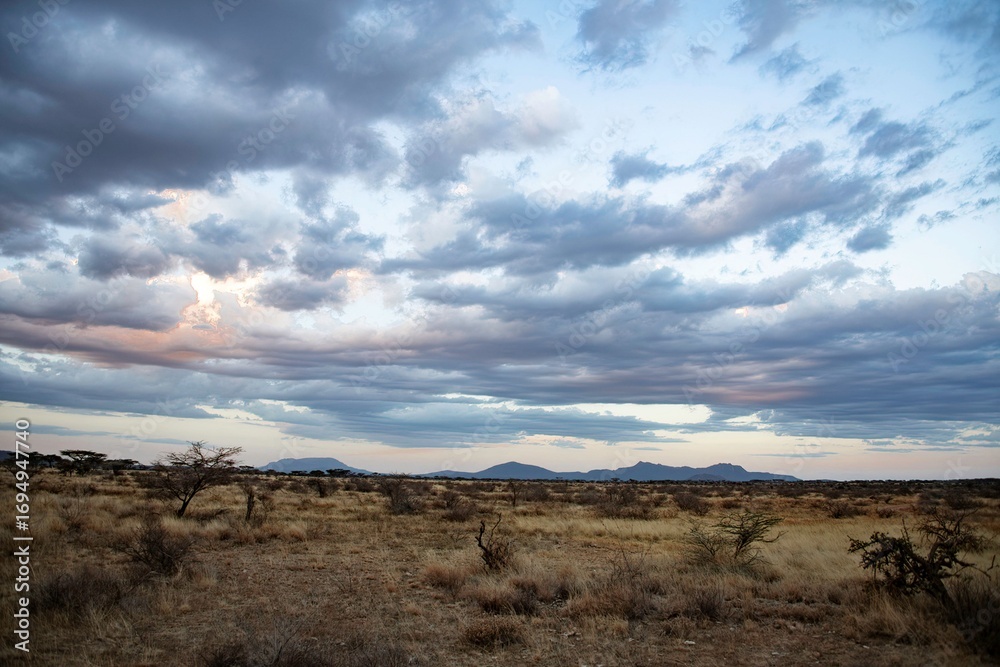 Fototapeta premium sunrise at the Savannah of the Samburu national park in Kenya with cloud sky