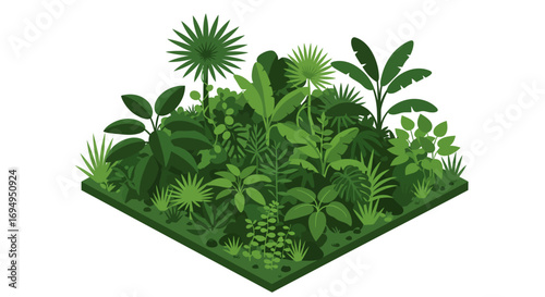 Isometric jungle garden with lush green tropical plants on white background