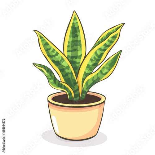 Snake Plant, cartoon vector illustration, flat 2D isometric style, white background.