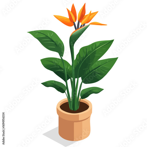 Bird Of Paradise Plant, cartoon vector illustration, flat 2D isometric style, white background.