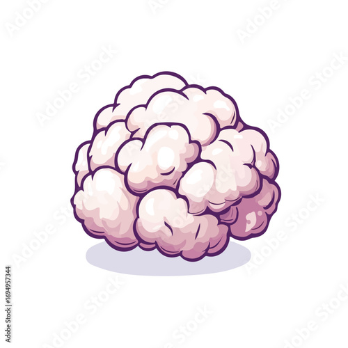 Cauliflower, 2D isometric flat cartoon vector illustration isolated on white background.