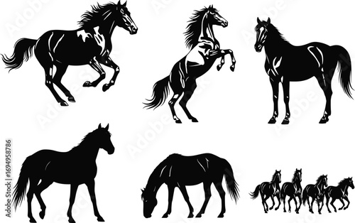 Horse silhouette vector set, running horse, rearing horse, grazing horse, walking horse, herd of horses, black animal poses, equine clipart
