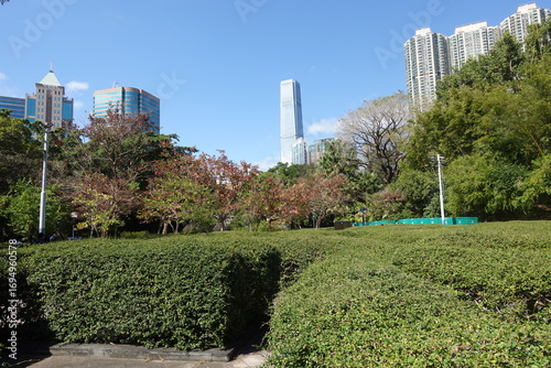 Photography Hong Kong City Kowloon park hog on a sunny day