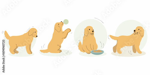 Four stages of a happy golden retriever dog s day showing playtime and mealtime