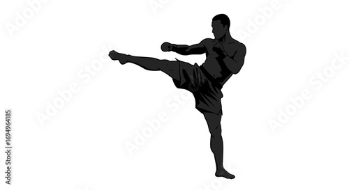 Dynamic martial arts silhouette of high kick pose for fitness and training