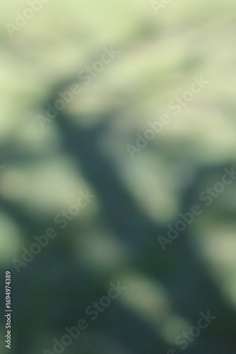 An abstract view of a green grass field with shadows of trees.