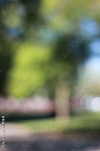 A dreamy view of a typical park with autumn trees growing in a grove.