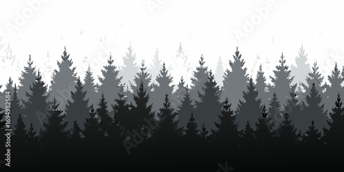 Monochromatic silhouette of a dense forest of evergreen pine trees in layers