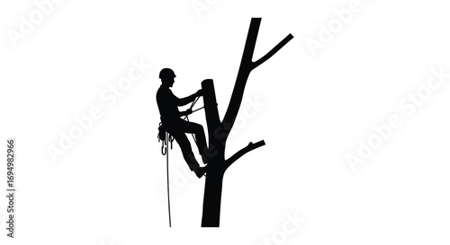 a climber ascends tree using ropes and gear silhouette