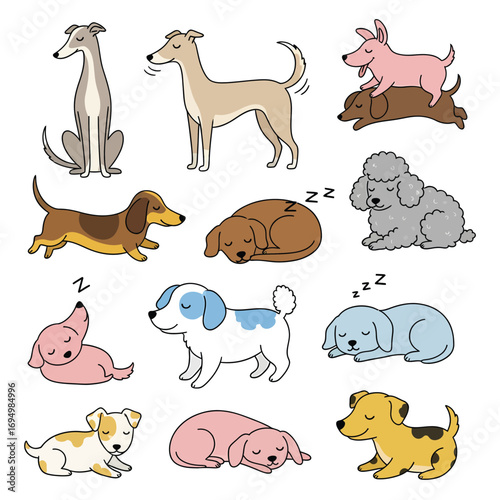 Cute Dog Breed Collection