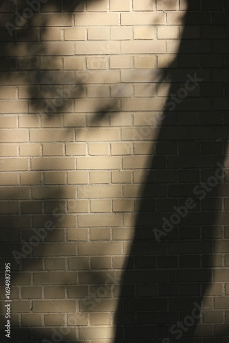 The shadows of the leaves on the trees falling on the typical beige brick wall.
