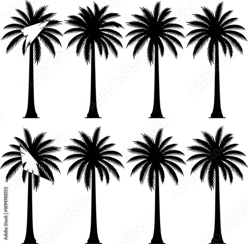 Palm Tree Silhouette Grid with Unique Blue Element, Tropical Nature Concept, Minimalist Vector Art for Pattern Recognition and Design Themes