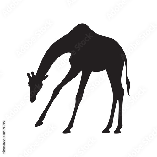 Silhouette of a Giraffe Bending Down Grazing in Black and White Minimalist Depiction of an African Animal