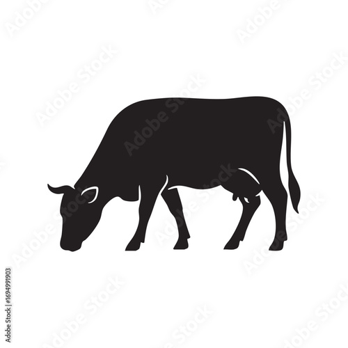 Black Silhouette of a Grazing Cow Calmly Eating from Pasture Land Peace and Serenity
