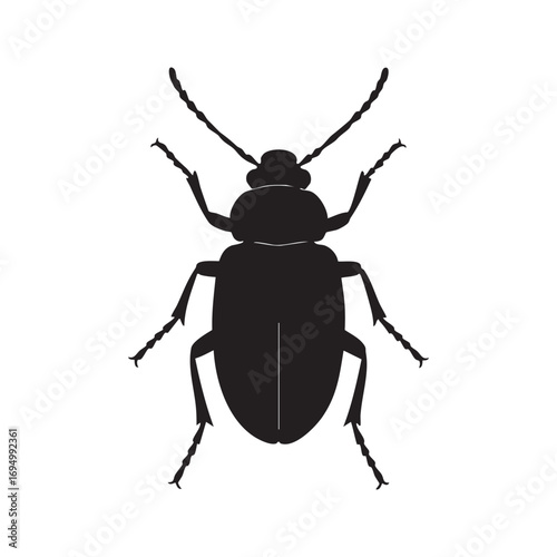 Symmetrical Silhouette Depiction of a Generic Insect with Visible Antennae Legs and Body Segments Isolated