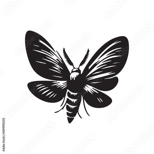 Striking Black and White Moth Illustration Intricate Wing Patterns and Delicate Antennae Displayed Boldly in Silhouette Style