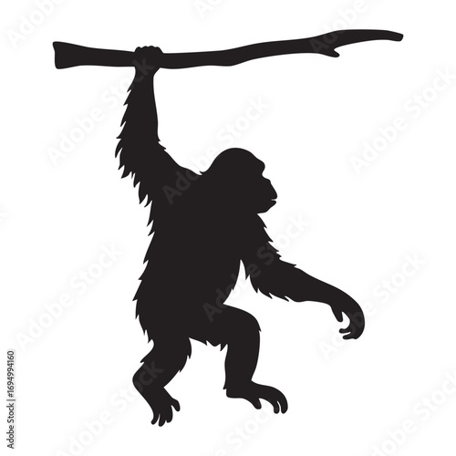 Silhouette of an Orangutan Hanging from a Branch Demonstrating its Arboreal Lifestyle in a Vector Illustration
