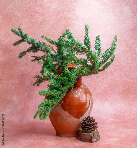 Botijo con ramas de pinsapo sobre fondo rosa