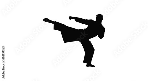 a martial artist performing high kick silhouette