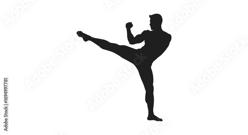 a dancer performing high kick pose silhouette
