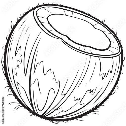 Detailed Line Art Illustration of a Halved Tropical Coconut