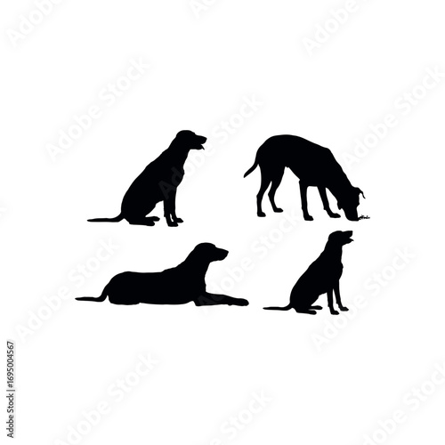 Four black dog silhouettes in different poses on white background vector