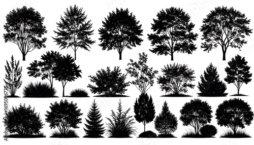 Silhouettes of various trees and shrubs