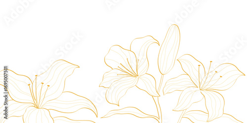 lily flowers in golden line art illustration, elegant floral design