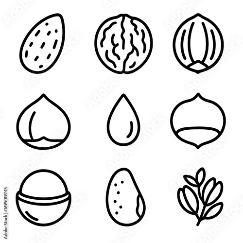 Classic Tree Nut Icons. Outline style icon of Classic Tree Nuts: almond shell, walnut shell, pecan shell, hazelnut shell, chestnut