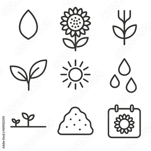 Minimalist Sunflower Icons. Outline style icons of Minimalist Sunflower: folded petal wedge, central seed target, forked stem