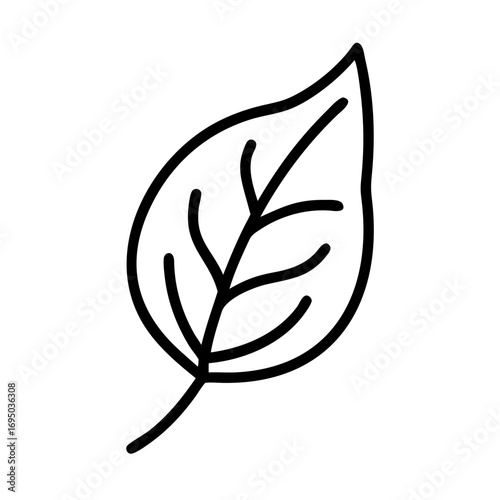 vector illustration of a leaf