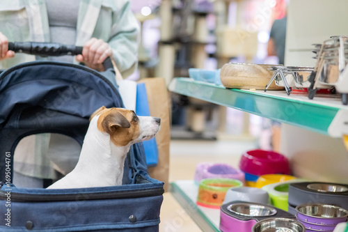 A woman is shopping at a pet store with her Jack Russell Terrier dog in a stroller.