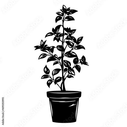 Potted plant silhouette – elegant houseplant in flowerpot icon, botanical foliage illustration for eco design, gardening print, logo or sticker