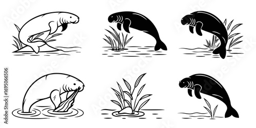 Six Stylized Manatee Illustrations in Water.
