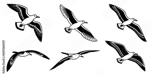 Six Stylized Seagulls in Flight.