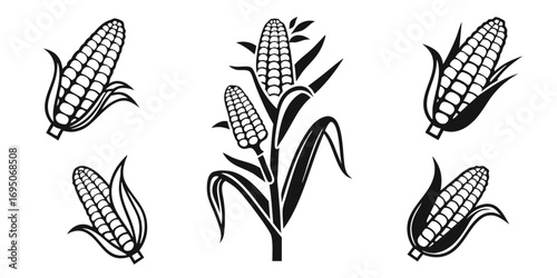 Stylized Corn Stalks and Cobs Collection.