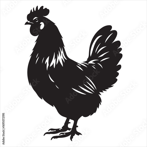 siting Hen Silhouette Vector Art, and Graphic, vector black colour silhouette ,white colour background 