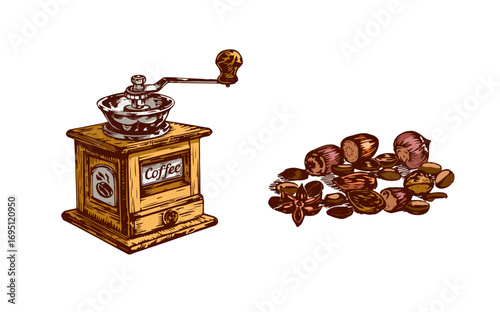 Vintage coffee grinder with coffee beans and spices illustration. Vector illustration. Ink line draw vector. Drawing engraving illustration
