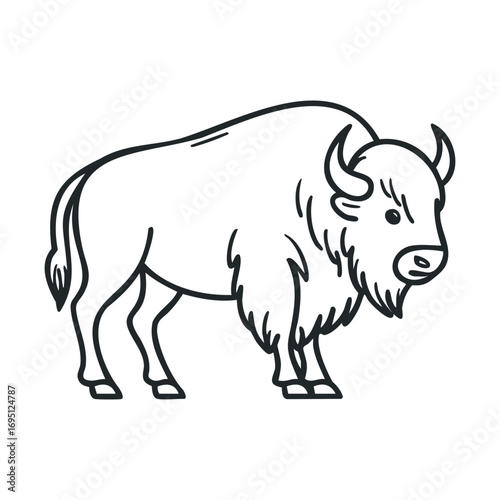 Bison in natural habitat for educational purpose and design use. Vector outline illustration