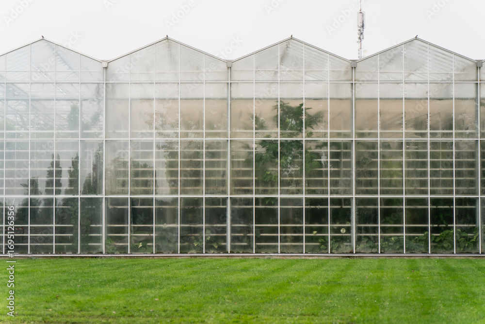 Fototapeta premium Large greenhouse structure with transparent glass panels and visible plant rows, representing agricultural engineering process, controlled cultivation, sustainable farming