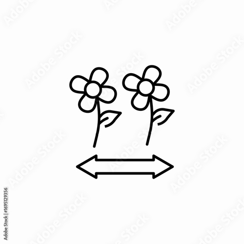 two flowers comparison icon sign vector
